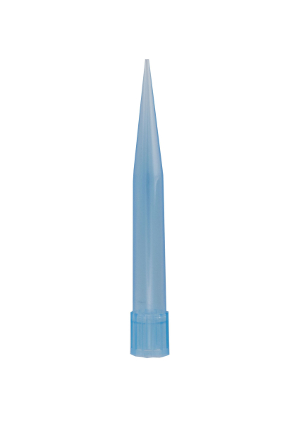 440A0079